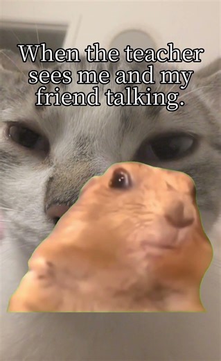 teacher when she sees me talking to my best freind