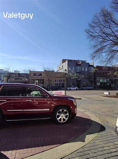 Valetguy POV: Parking and Service