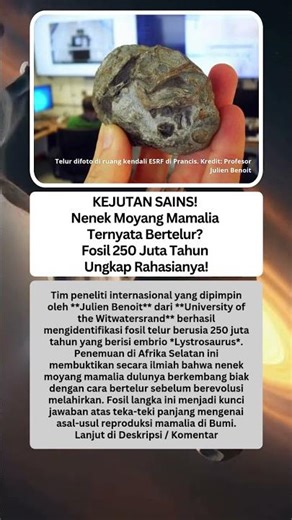 KEJUTAN SAINS! Nenek Moyang Mamalia Ternyata Bertelur? Fosil 250 Juta Tahun Ungkap Rahasianya!