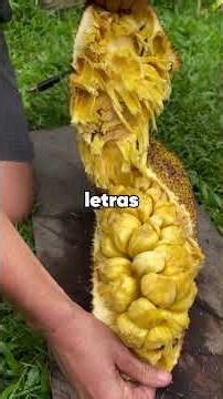 Minha irmã está no centro de reabilitação há dezoito meses. Ela acabou de arranhar "ajuda" na minha