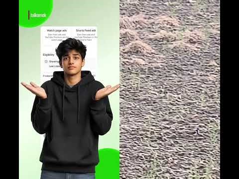 Monetization without 1K Subscribers?