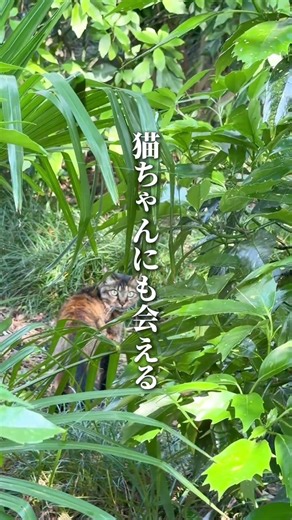金沢町家ホテル
