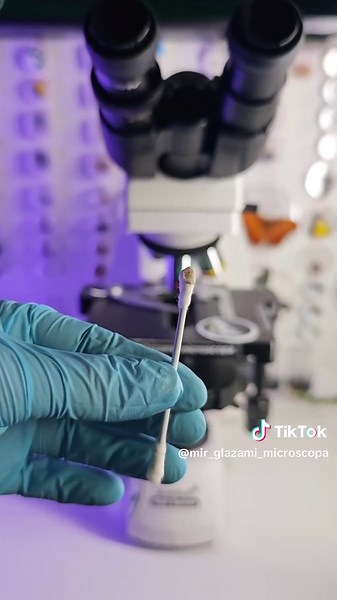 Levenhuk MED 45B Microscope Review and Insights