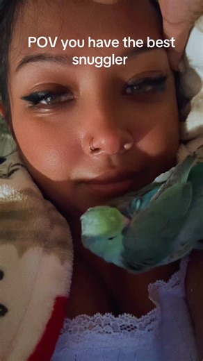#bird #parrotlet #snuggle #peaceful