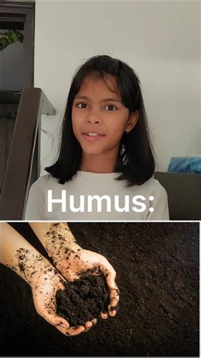 Define Humus....#shorts #ytshorts