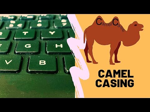 What is Camel Casing? Examples of Camel Casing in general and specific to programming languages.