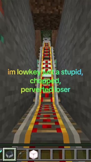 Epic Rollercoaster Experience in Minecraft