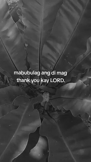 Close-Up of Dark Green Leaves in Monochrome