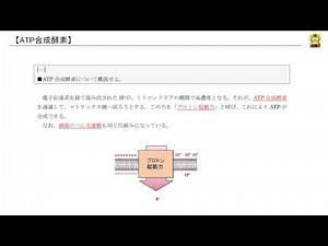 ATP合成酵素 【高校生物】