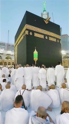 i love Mohammad all' allah allah allah allah ❣️ #chotaalivlogs #allahuakbar