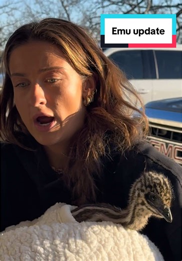 Emu Update: Discover the Baby Emu's Name Soon!