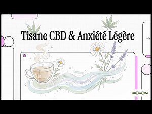 Anxiété légère : la tisane CBD calme vraiment… ou c’est juste dans la tête ?