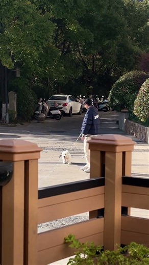 Jiang Penghan & Hu Jing #bl #jianghu #bltiktok #blvlog #lgbt - BL Couple