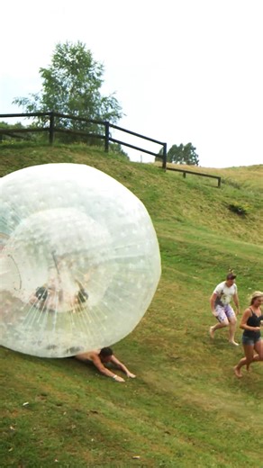 No one survived the roll ball mayhem