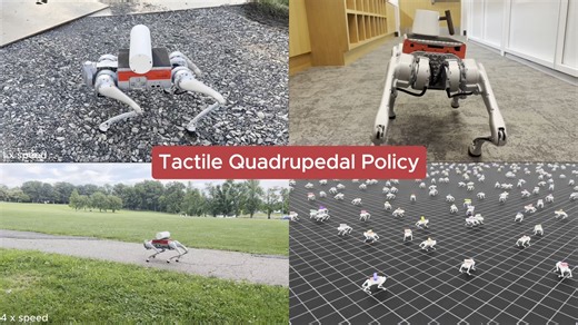 LocoTouch开源 (Train in IsaacLab & Deploy on MacMini)