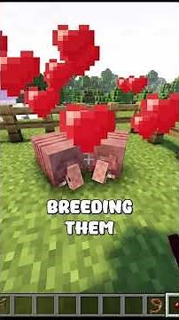 Insane Java Armadillo XP Farm