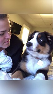 14M views · 10K reactions | You miss 100% of the shots you don’t take | Best of Aussies Doing Things | Facebook