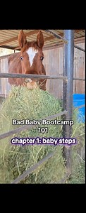 bad baby bootcamp chapter 1: baby steps #badbaby #thebadbabychronicles | Kaylin Maree Schimpf