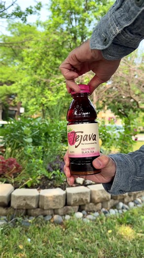 Tejava Premium Tea on TikTok