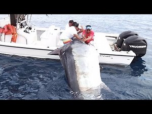 Amazing Longline Giant Bluefin Tuna and Black Marlin. Strongest Biggest Fish Ever Caught