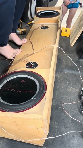 Punch 10 Inch Subwoofers #caraudio #truck #automobile #carstereo #vibration #subwoofer #speaker
