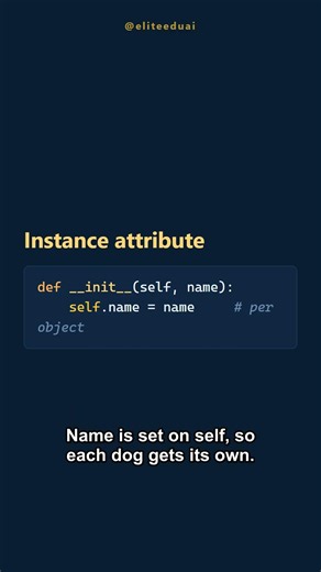 Python Class vs Instance Attributes in 40s 🐍 #python #coding