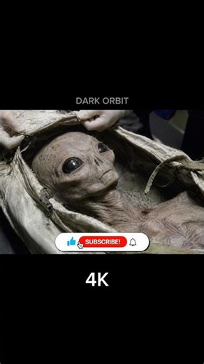 Alien Sightings: 144p vs. 4K Reality Check 👽 #darkorbit