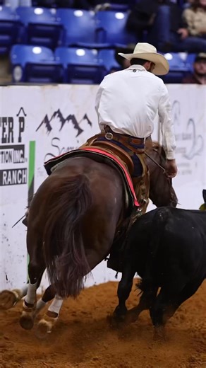 After over 450 Open Futurity horses... it all came down to the finals! Shine Yer Sugar and Matt Koch battled hard to finish in the Top 15! They showed grit and perseverance in the face of difficult cattle! This team has a bright future and we can't wait to follow their career! With almost $40,000 in earnings, this mare is off to a great start! Congratulations to owners, She's The One Ranch (Natalie Strangeland Larson)! Congratulations to John Swales and Bowie Nights on a fantastic Futurity Champ
