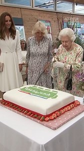 Have a safe holiday weekend everyone! And if you decide to cut a cake with a sword, please do so carefully. | Access