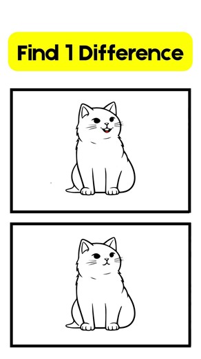 Find 1 Differences