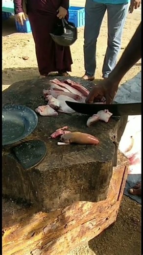 You Won’t Believe How Fast This Fish is Filleted! 🔪 Fresh Cuts #shorts