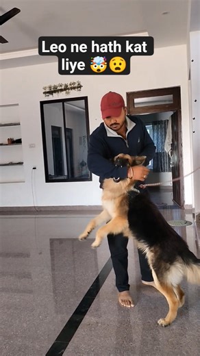 Leo ne hath kat liya 🤯😧#shorts #status #short #respect #allah #amtvhd #ghaffarbhai #chotaalivlogs
