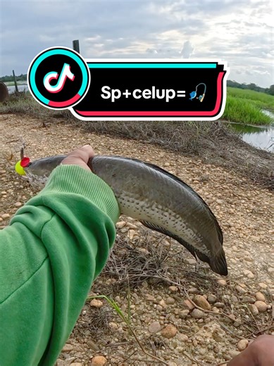 The Art of Casting Fishing: Tips and Tricks