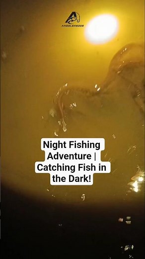 Night Fishing Adventure | Catching Fish in the Dark!
