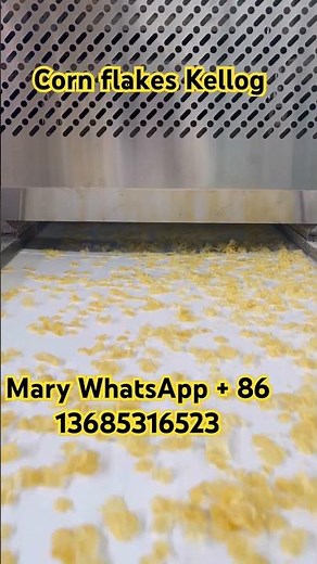How to make corn flakes Kelloggs corn flakes cereals machinery #extruder #factory #cornflakes