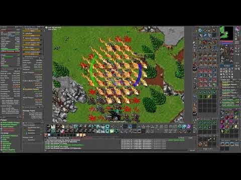 Tibia - Raubritters (Isle of Ada) x4 level 600+ | 7-8kk raw exp