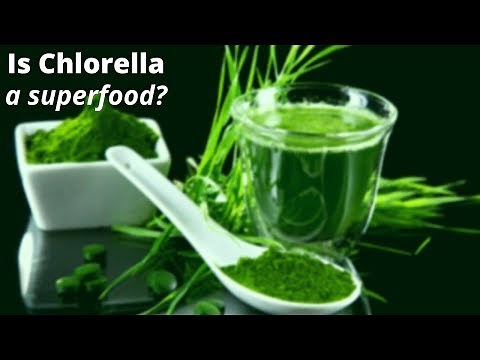 7 Impressive Chlorella Benefits That Prove It's the Ultimate Green Superfood
