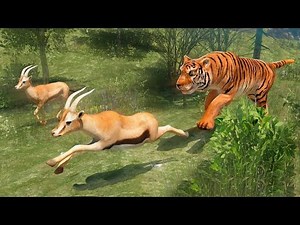 Tiger Simulator 3D Survival (by Redcorner Games) Android Gameplay [HD]