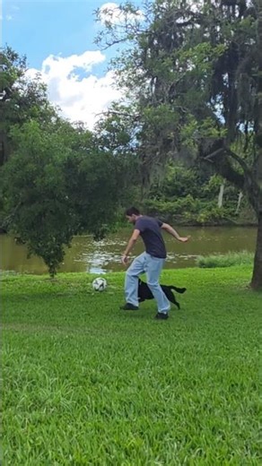 Quando a pessoa é competitiva até com o seu cachorro 😅