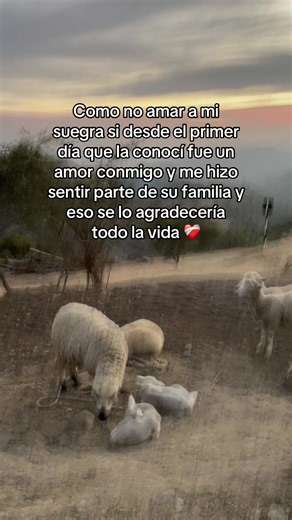 Agradecimientos a la Suegra en el Año Nuevo