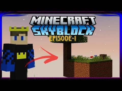 MINECRAFT SKYBLOCK SERIES EPISODE 1 😁