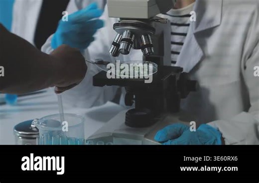 scientist in laboratory with microscope Stock Video Footage - Alamy