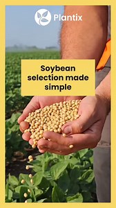 🧑‍🌾 படமெடுத்து நோய்ப்பூச்சியை கண்டறிக, பயிர்களை சரிசெய்வது பற்றி அறிக-Plantix ஓர் பயிர்நிபுணர் | Plantix