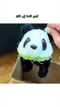 The Puppy Led Her to the Treasure #shortvideo #viral #importance