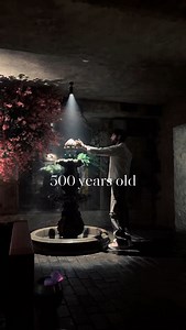 273K views · 980 reactions | This first clip is inside a restaurant that’s over 500 years old once something entirely different, now serving meals in history soaked walls. The city is full of places like this, where the ancient meets the modern in the best way. | Cherry Sin | Facebook