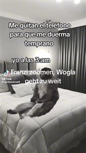 Gerhard Auer (@gerhard.auer)’s videos with Originalton - Gerhard Auer