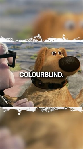 Did You Notice These Hidden Easter Eggs in Up?