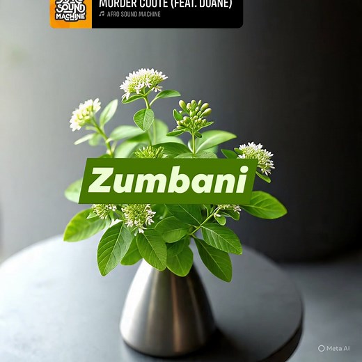 *☕ Zumbani Tea (Remedy )* Zumbani (Lippia javanica) is a *powerful natural herb* inonzi inodziisa muviri in a gentle but effective way. 💨🔥 *Benefits:* - Inobatsira *kubvisa toxins* mumuviri - *Inodziisa muviri* by improving *circulation & digestion* - Ino *pisa dumbu*, kubvisa bloating, gas & discomfort - Inobatsira *immunity*, meaning unenge uine simba remuviri - Yakanakira *cold weather* & *kusagadzikana kwepabonde* *Preparation:* 1. Tora *2–3 masprigs e zumbani* 2. Isa mu *hot water mug* 3.