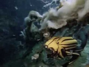The Water Planet - The Undersea World of Jacques Cousteau