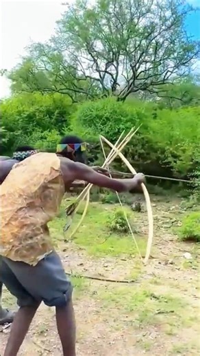 Huge Deer Spotted! 🦌 Archer Secures Trophy 🏹 #shorts #DeerHunting #Archery #Safari #Viral #Wildlife
